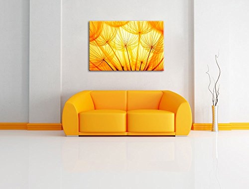 Pusteblumenblüten im orangen Licht Format: 120x80 auf Leinwand, XXL riesige Bilder fertig gerahmt mit Keilrahmen, Kunstdruck auf Wandbild mit Rahmen, günstiger als Gemälde oder Ölbild, kein Poster oder Plakat