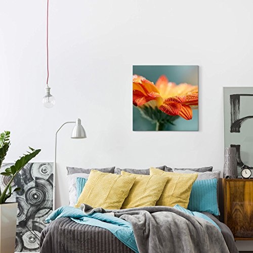 Paul Sinus Art Leinwandbilder | Bilder Leinwand 60x60cm Orange Gerbera mit Wassertropfen – Nahaufnahme