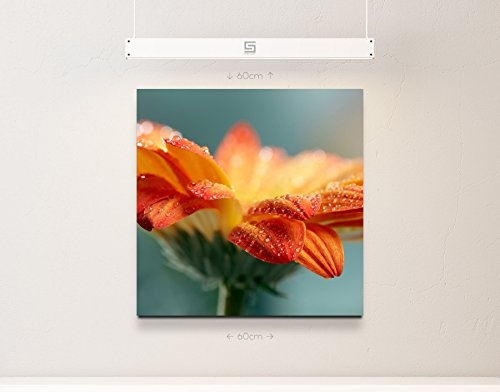 Paul Sinus Art Leinwandbilder | Bilder Leinwand 60x60cm Orange Gerbera mit Wassertropfen – Nahaufnahme