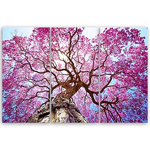 ge Bildet® hochwertiges Leinwandbild XXL - Rosa Lapacho Baum in Pocone - Brasilien - 120 x 80 cm mehrteilig (3 teilig) 1002