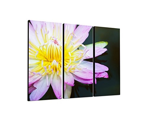 130x90cm - Keilrahmenbild Lotusblume pink-gelb Nahaufnahme 3teiliges Wandbild auf Leinwand und Keilrahmen - Fotobild Kunstdruck Artprint