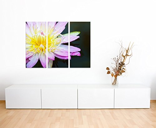 130x90cm - Keilrahmenbild Lotusblume pink-gelb Nahaufnahme 3teiliges Wandbild auf Leinwand und Keilrahmen - Fotobild Kunstdruck Artprint