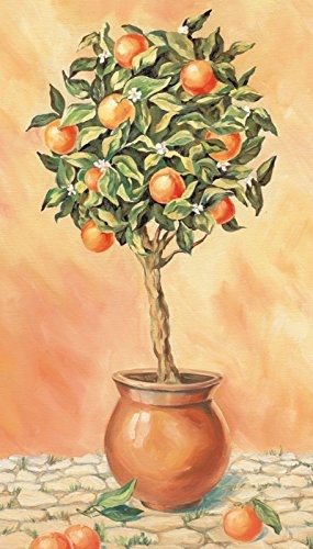 Artland Leinwand-Bild fertig aufgespannt auf Holzfaserplatte mit Motiv Tanja Kowak Orangenbaum I Botanik Pflanzen Topfpflanze Malerei Orange 70 x 40 x 1,2 cm A7TG