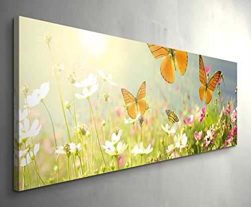 Paul Sinus Art Leinwandbilder | Bilder Leinwand 120x40cm Schmetterlinge auf Einer Blumenwiese im Sommer