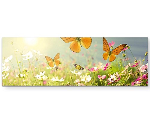 Paul Sinus Art Leinwandbilder | Bilder Leinwand 120x40cm Schmetterlinge auf Einer Blumenwiese im Sommer