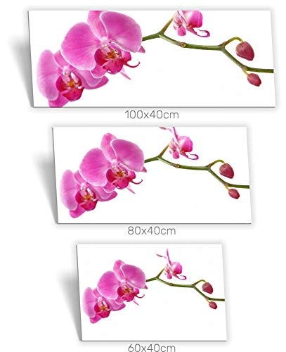Medianlux Leinwand-Bild Keilrahmen-Bild SPA Wellness Orchidee Knospen Pink Grün, 60 x 40cm (BxH)