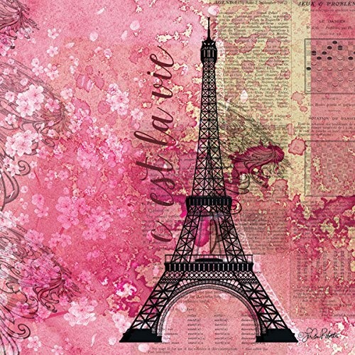 Rahmen-Kunst Keilrahmen-Bild - Luann Roberto: Pink Paris Leinwandbild Eiffelturm Collage Rosa (65x65)