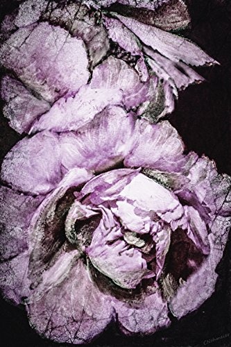 Artland Qualitätsbilder I Bild auf Leinwand Leinwandbilder Wandbilder 60 x 90 cm Botanik Blumen Rose Digitale Kunst Pink Rosa C6RM Pfingstrose