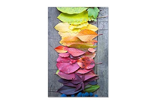 deinebilder24 Foto auf Wandbild - 120 x 80 cm - Regenbogenlaub, Bunter Herbst