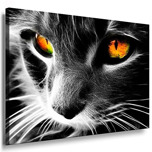 Fotoleinwand24 - Tiere Abstrakt "Katze" / AA0057 / Fotoleinwand auf Keilrahmen / Orange / 70x50 cm