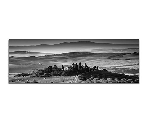 Augenblicke Wandbilder Keilrahmenbild Panoramabild SCHWARZ/Weiss 150x50cm Italien Toskana Landschaft Weinberge