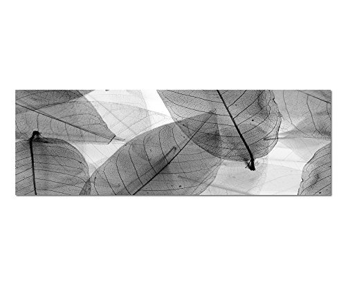 Augenblicke Wandbilder Keilrahmenbild Panoramabild SCHWARZ/Weiss 150x50cm Blätter Silhouette Hintergrund grün