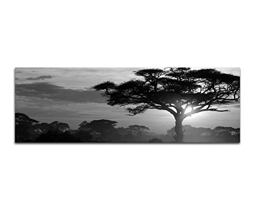 Augenblicke Wandbilder Keilrahmenbild Panoramabild SCHWARZ/Weiss 150x50cm Afrika Landschaft Bäume Sonnenuntergang