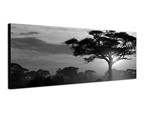 Augenblicke Wandbilder Keilrahmenbild Panoramabild SCHWARZ/Weiss 150x50cm Afrika Landschaft Bäume Sonnenuntergang