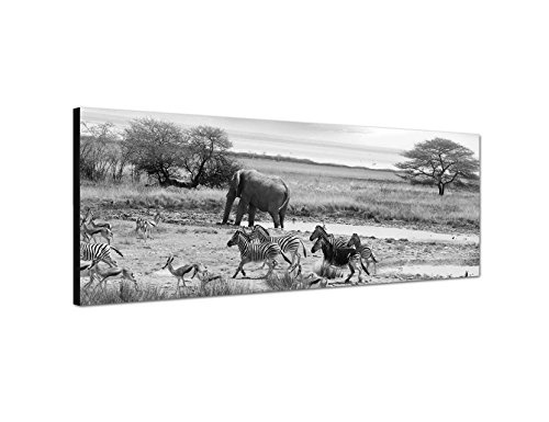 Augenblicke Wandbilder Keilrahmenbild Panoramabild SCHWARZ/Weiss 150x50cm Afrika Safari Zebras Elefant Landschaft