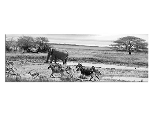Augenblicke Wandbilder Keilrahmenbild Panoramabild SCHWARZ/Weiss 150x50cm Afrika Safari Zebras Elefant Landschaft