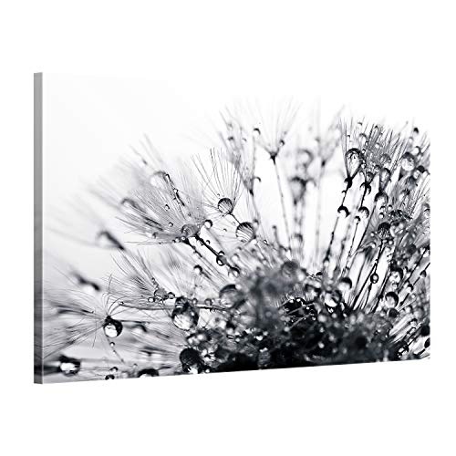 ge Bildet® hochwertiges Leinwandbild XXL Pflanzen Bilder - Another World - schwarz weiß - Blumen Natur Pusteblume - 100 x 70 cm einteilig 2206 H