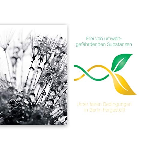 ge Bildet® hochwertiges Leinwandbild XXL Pflanzen Bilder - Another World - schwarz weiß - Blumen Natur Pusteblume - 100 x 70 cm einteilig 2206 H