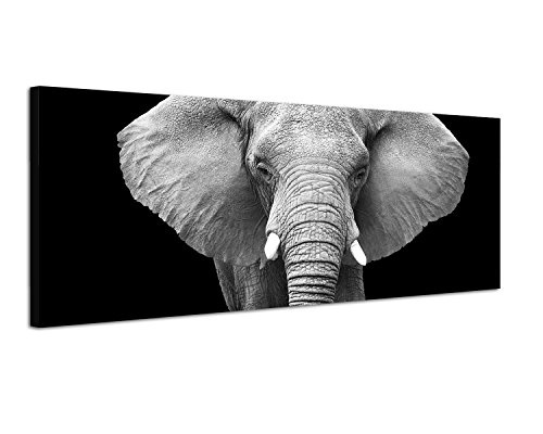 Augenblicke Wandbilder Keilrahmenbild Panoramabild SCHWARZ/Weiss 150x50cm Elefant Kopf Gesicht Nahaufnahme