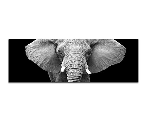 Augenblicke Wandbilder Keilrahmenbild Panoramabild SCHWARZ/Weiss 150x50cm Elefant Kopf Gesicht Nahaufnahme