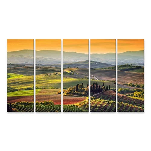 Bild Bilder auf Leinwand Toskana-Landschaft bei dem Sonnenaufgang, der für das toskanische Gutshaus der Region typisch ist, wachsen Hügelweinberg Italien Wandbild, Poster, Leinwandbild NDG