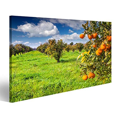 Bild Bilder auf Leinwand Sonniger Morgen im Orangengarten auf Sizilien Italien Europa Wandbild Poster Leinwandbild RGW