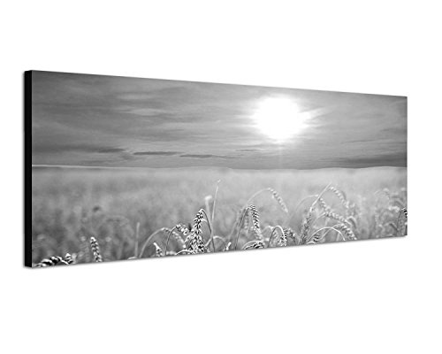 Augenblicke Wandbilder Keilrahmenbild Panoramabild SCHWARZ/Weiss 150x50cm Kornfeld Spätsommer Sonnenuntergang golden