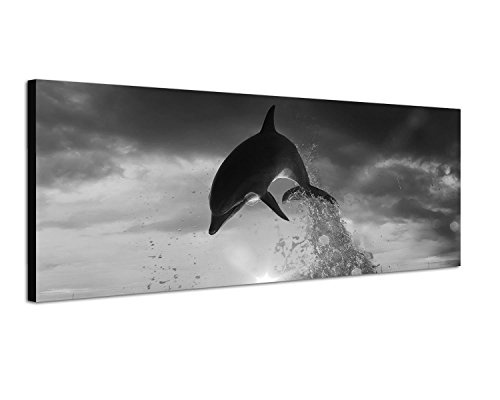Augenblicke Wandbilder Keilrahmenbild Panoramabild SCHWARZ/Weiss 150x50cm Meer Delfin Sprung Sonnenuntergang