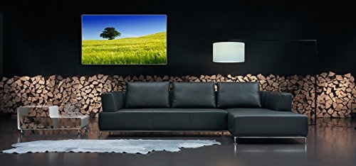 Fotoatelier Dirk Haas Premium Leinwandbild XXL - Natur - Landschaft - Bild - Toskana - Italien - Baum - Frühlingswiese - Leinwand : 70 cm x 40 cm