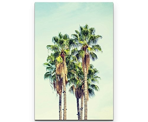 Leinwandbilder | Bilder Leinwand 90x60cm Palmen in Los Angeles