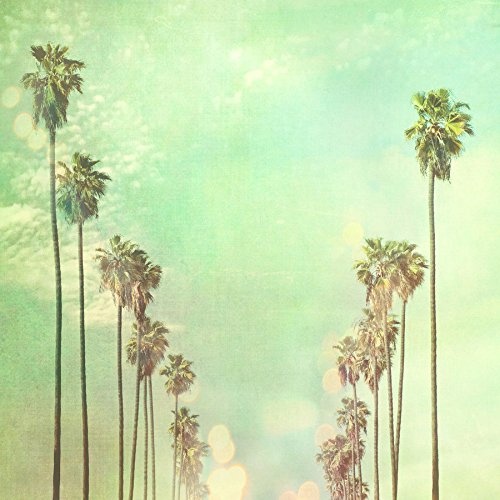JUNIQE® Leinwandbild 50x50cm Palmen - Design "La La Land" (Format: Quadrat) - Leinwand, Bilder auf Leinwand & Leinwanddrucke von unabhängigen Künstlern - Botanische Kunst mit Pflanzen - entworfen von Myan Soffia