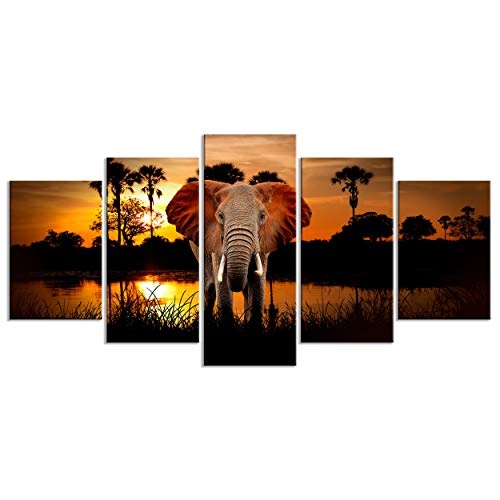 decomonkey Bilder Afrika Elefant 200x100 cm 5 TLG. Leinwandbilder Bild auf Leinwand Vlies Wandbild Kunstdruck Wanddeko Wand Wohnzimmer Wanddekoration Deko Tiere Landschaft Natur