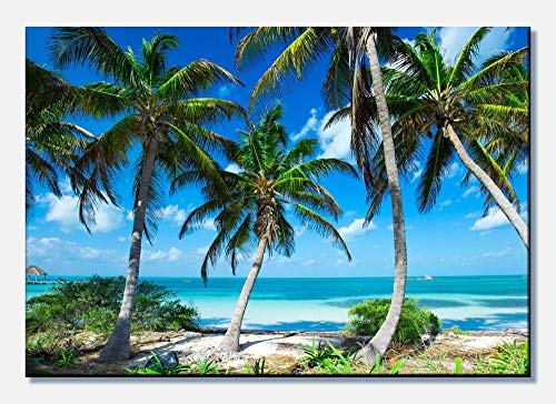 wandmotiv24 Leinwandbild Palmen an einem tropischen...