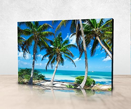 wandmotiv24 Leinwandbild Palmen an einem tropischen Strand 60x40cm (BxH) Panoramabild Fotoleinwand Kunstdrucke Leinwand Bild Fotogeschenke Geschenke Holzrahmen einteilig