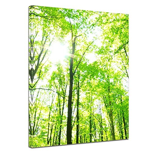 Keilrahmenbild - Grüner Wald - Bild auf Leinwand - 90x120 cm einteilig - Leinwandbilder - Landschaften - Baumkronen im Sonnenschein