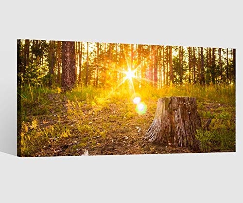 Leinwandbilder 1tlg Leinwand Wald Sonne Landschaft Bild...