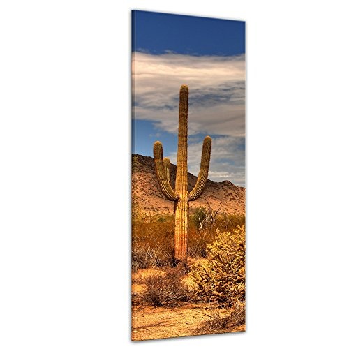 Keilrahmenbild - Wüste Kaktus - Bild auf Leinwand 50...