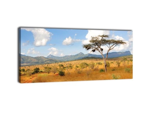 Leinwandbild Panorama Nr. 333 Savanne Kenia 100x40cm, Keilrahmenbild, Bild auf Leinwand, Afrika Grasland Sonne