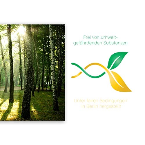 ge Bildet® hochwertiges Leinwandbild XXL Pflanzen Bilder - Wald - Natur Blumen Wald Sonnenschein grün - 100 x 70 cm einteilig 2206 J