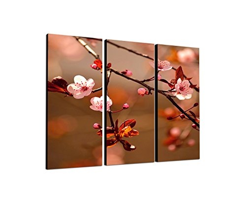 130x90cm - Keilrahmenbild Zweig Kirschblüte Sonne Nahaufnahme 3teiliges Wandbild auf Leinwand und Keilrahmen - Fotobild Kunstdruck Artprint
