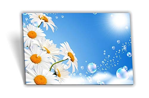 Medianlux Leinwand-Bild Keilrahmen-Bild Sonnen-Licht Regen-Tropfen Blumen Himmel Weiß, 80 x 40cm (BxH)