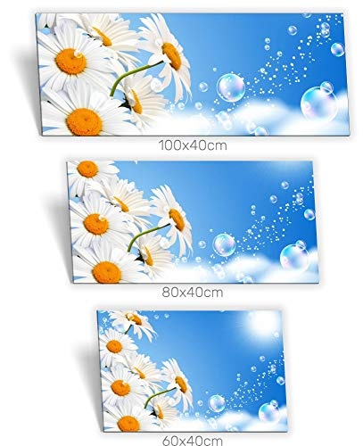 Medianlux Leinwand-Bild Keilrahmen-Bild Sonnen-Licht Regen-Tropfen Blumen Himmel Weiß, 80 x 40cm (BxH)