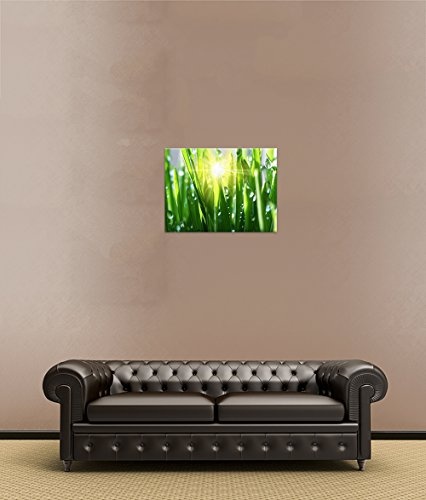 Keilrahmenbild - Gras II - Bild auf Leinwand - 120x90 cm einteilig - Leinwandbilder - Pflanzen & Blumen - Grashalme mit Wassertropfen in der Sonne