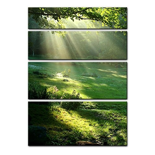 Keilrahmenbild - Wiese - Bild auf Leinwand - 120x180 cm 4 teilig - Leinwandbilder - Bilder als Leinwanddruck - Landschaften - Natur - Sonnenstrahlen auf Einer grünen Wiese
