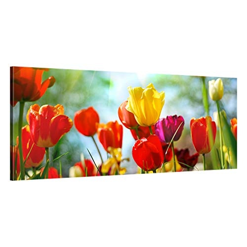 ge Bildet® hochwertiges Leinwandbild Panorama - Frühlings Tulpen - 100 x 40 cm einteilig 1311
