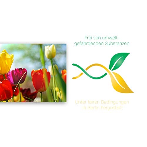 ge Bildet® hochwertiges Leinwandbild Panorama - Frühlings Tulpen - 100 x 40 cm einteilig 1311