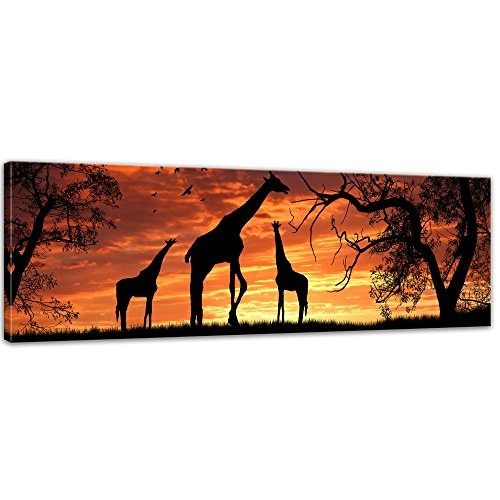 Keilrahmenbild - Giraffen im Sonnenuntergang - Bild auf Leinwand - 160x50 cm einteilig - Leinwandbilder - Tierwelten - Afrika - Silhouetten von Giraffen in der Steppe