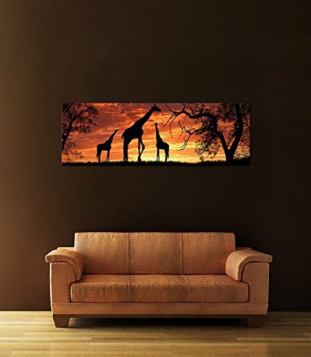 Keilrahmenbild - Giraffen im Sonnenuntergang - Bild auf Leinwand - 160x50 cm einteilig - Leinwandbilder - Tierwelten - Afrika - Silhouetten von Giraffen in der Steppe