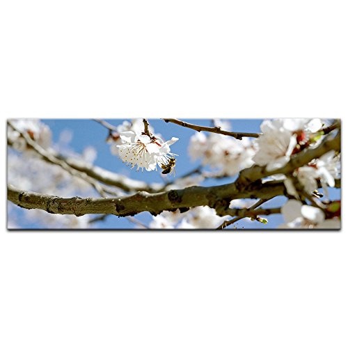 Keilrahmenbild - Frühling - Bild auf Leinwand - 160...