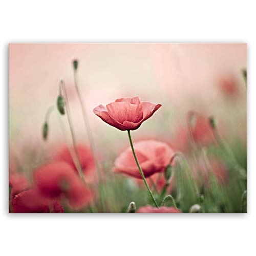 ge Bildet® hochwertiges Leinwandbild Pflanzen Bilder - Mohnblumenfeld - Blumen Natur Wiese rot rosa - 70 x 50 cm einteilig 2206 N
